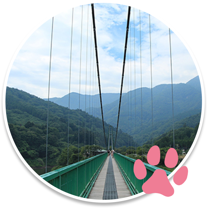 山ゆりの吊橋