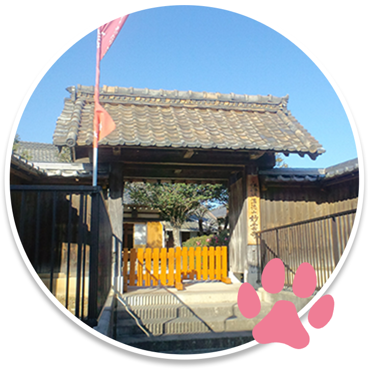 妙雲寺