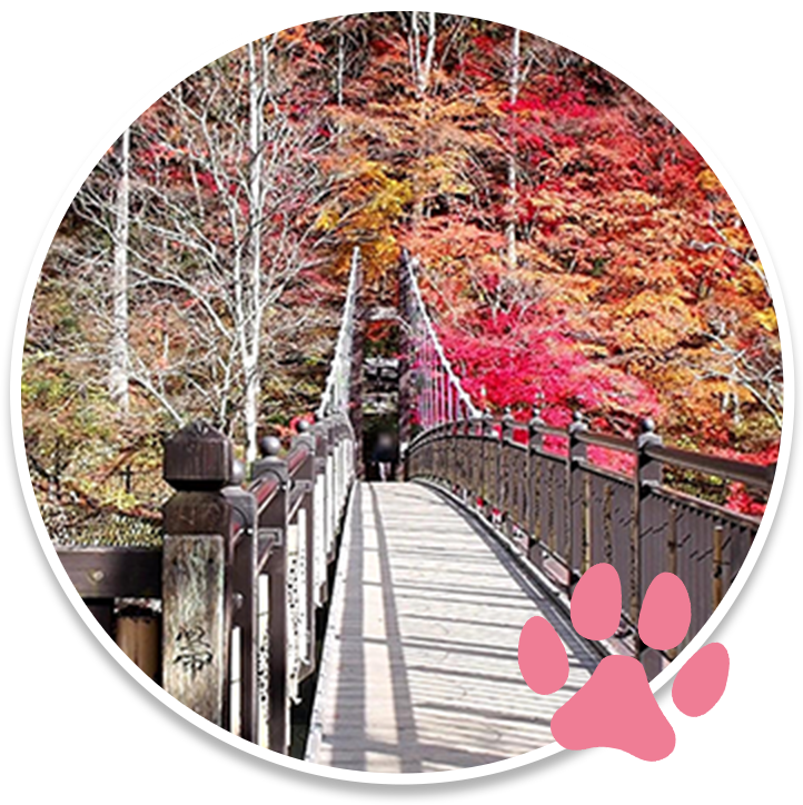 紅の吊橋