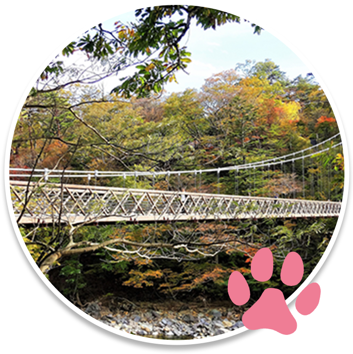七ツ岩吊橋