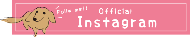 Official Instagram