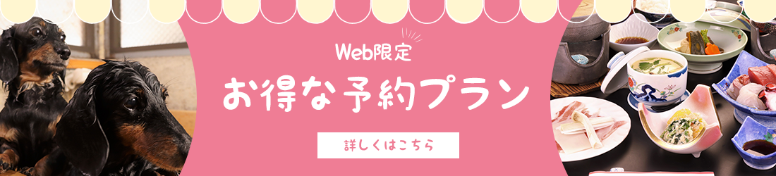 お得な宿泊プラン