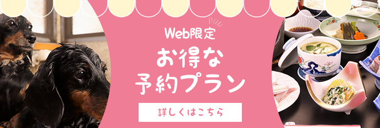 お得な宿泊プラン